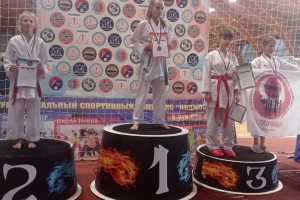 Кубок детско-юношеской Федерации каратэ городского округа Щёлково