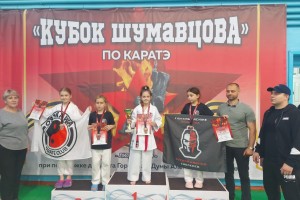 Кубок Людиновского района по каратэ
