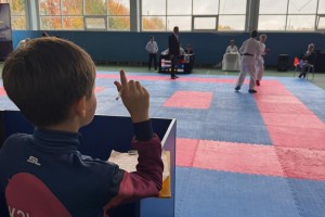 Первенство и чемпионат Калужской области по каратэ